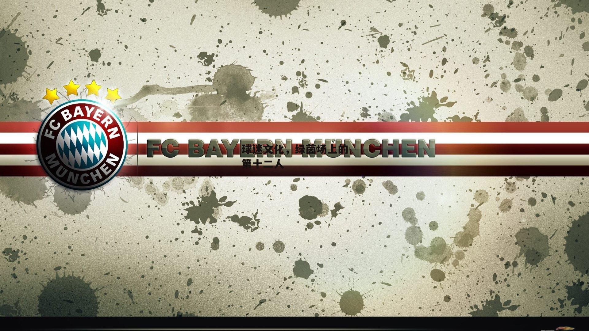 球迷文化，绿茵场上的第十二人